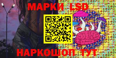 гидропоника Краснознаменск