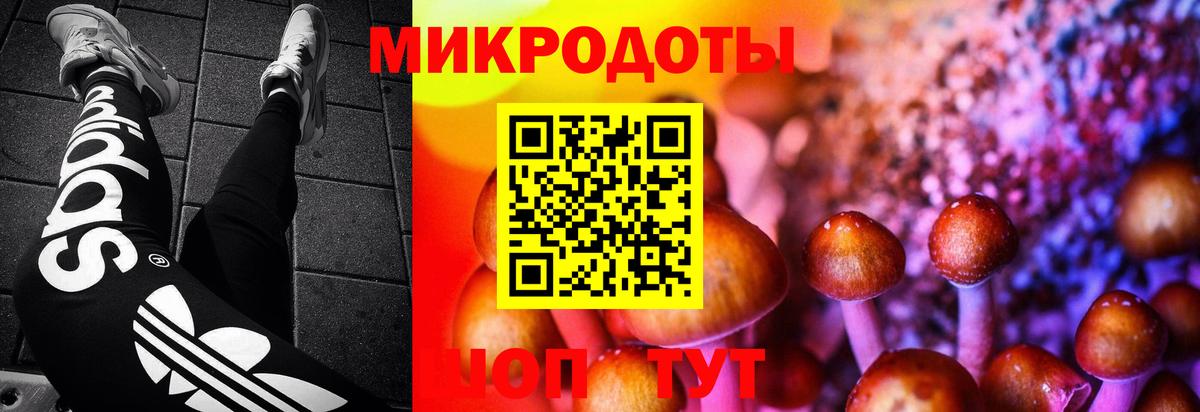 Псилоцибиновые грибы мицелий  Псилоцибиновые грибы MAGIC MUSHROOMS  Вход с VPN  Ковров 